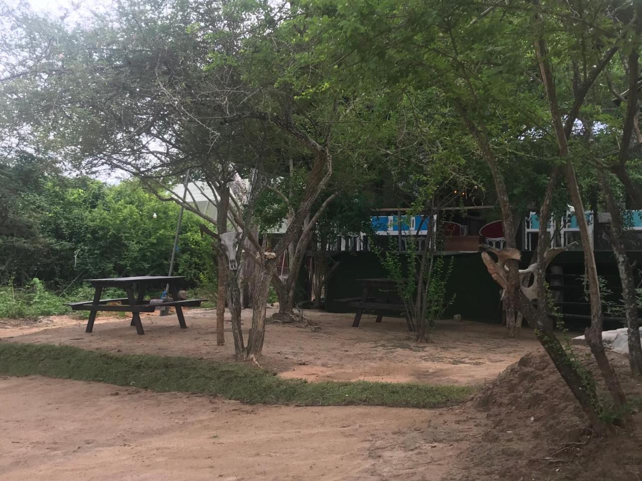 Elephant Lake Yala Tissamaharama Extérieur photo