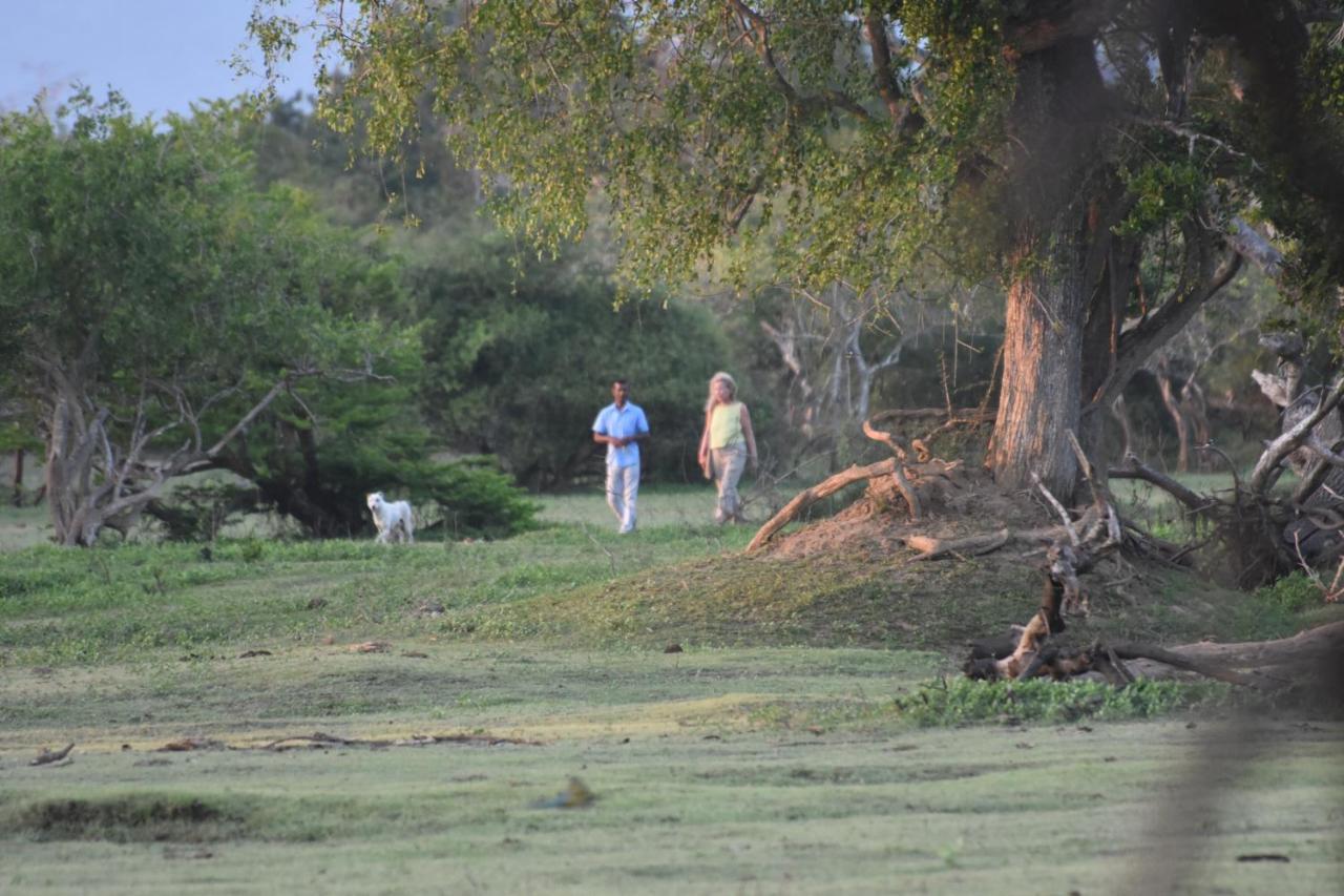 Elephant Lake Yala Tissamaharama Extérieur photo