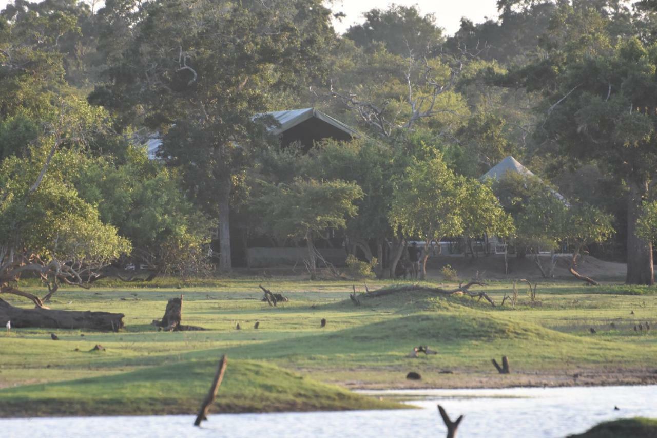 Elephant Lake Yala Tissamaharama Extérieur photo
